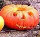 Lactoseintoleranz