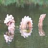 Croc